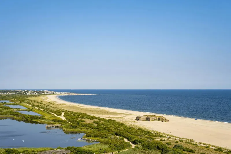 Cape May's hidden gems await on this unique rail bike adventure