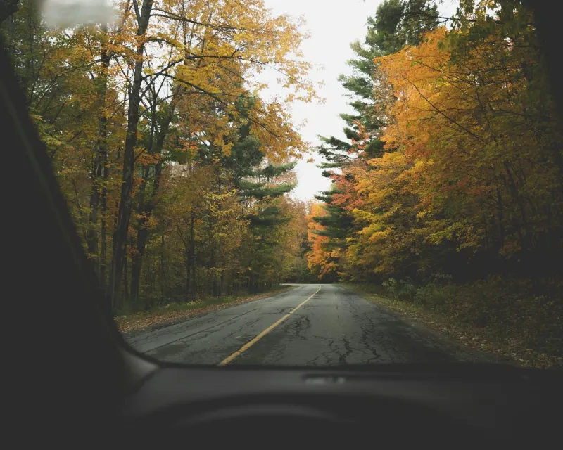NJ roads where driving is fun