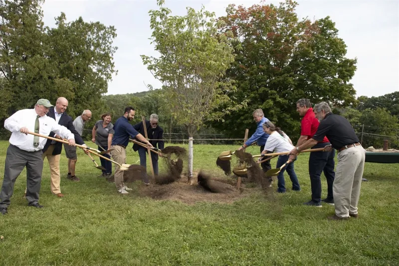 Grove of 13 Trees Planted in Central Park of Morris County