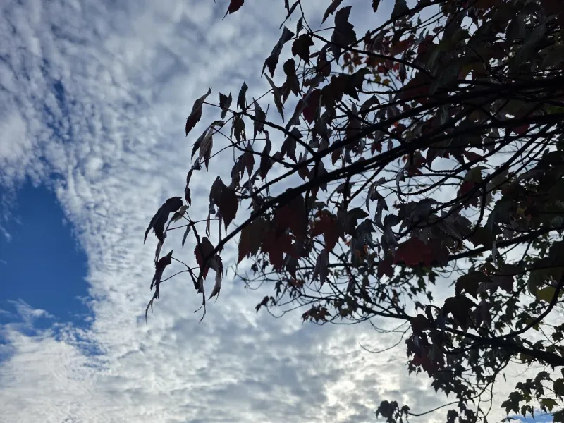 NJ weather: Spurts of rain, clouds, and cool temps all week