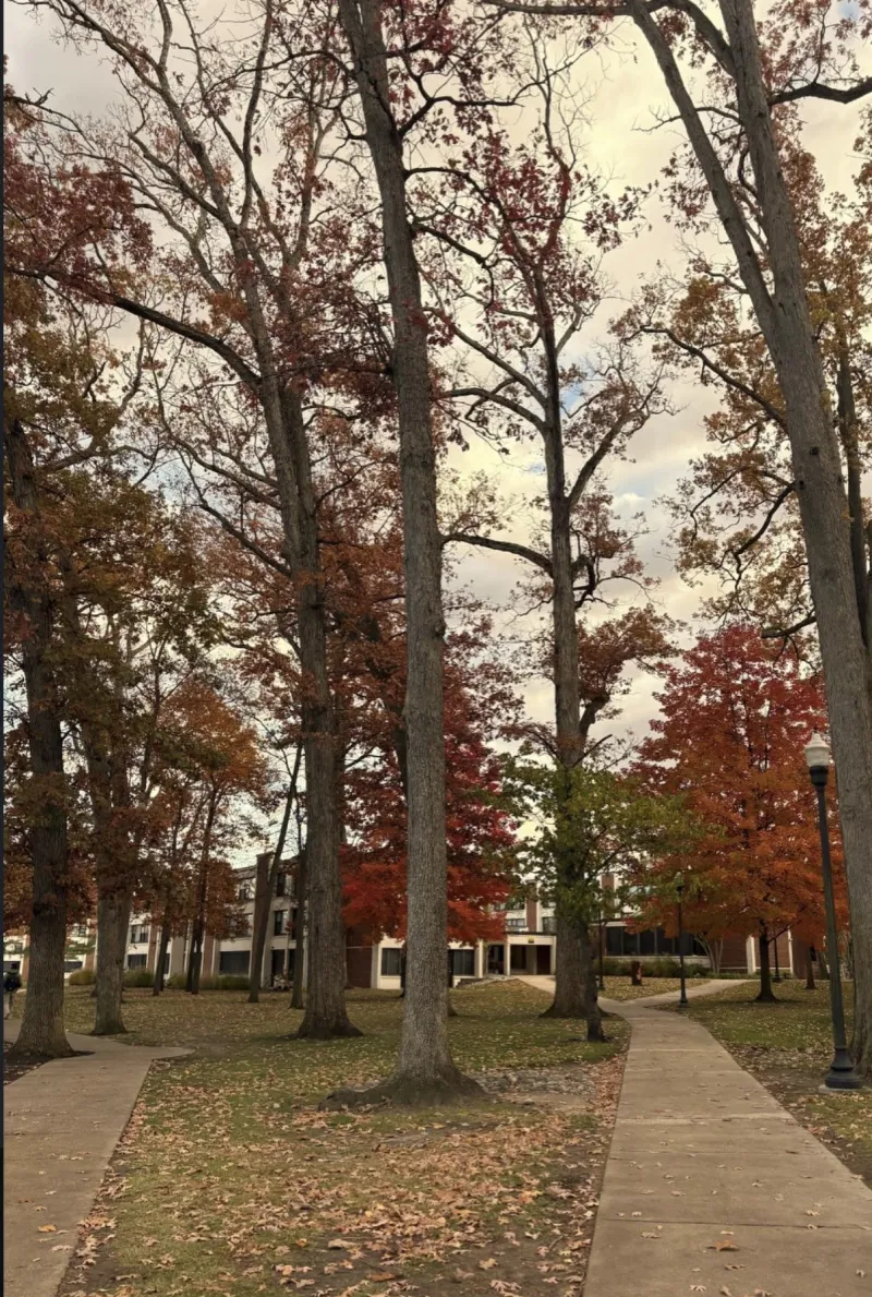 The 10 autumn activities students are enjoying at Rowan