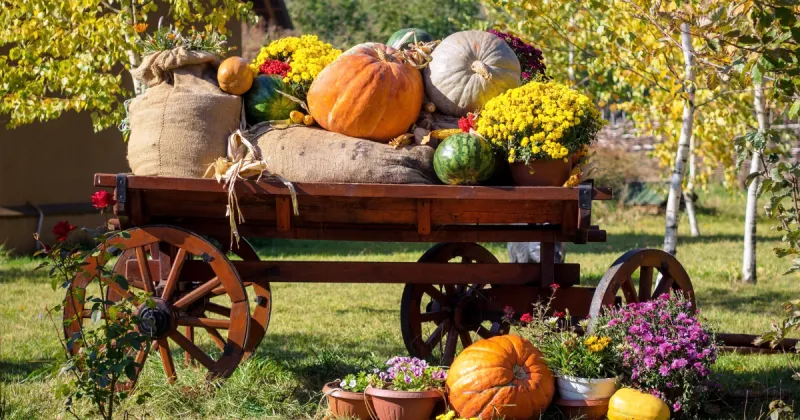 NJIB's Guide to 115+ New Jersey October Festivals and Events
