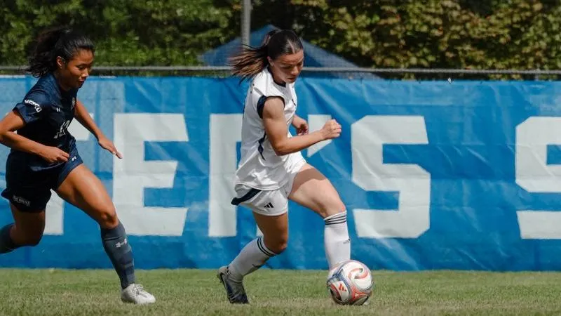 Peacocks Fall On The Road At Sacred Heart