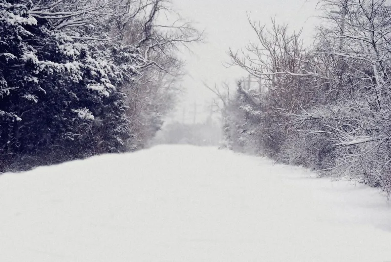 Does A New Winter Forecast Mean Snow For New Jersey?