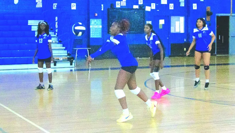 PHOTO GALLERY: Irvington HS girls volleyball team hosts American History