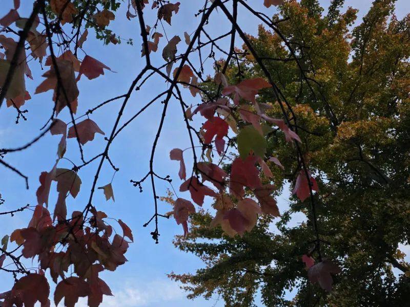 NJ weather: From 80s to 60s, watching two chances of showers