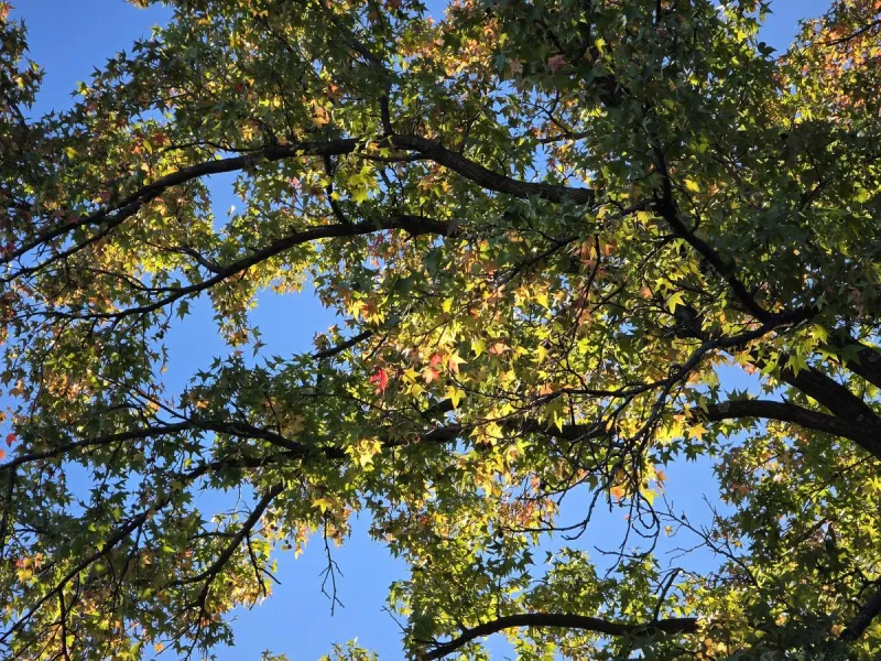 NJ weather: Chilly mornings, sunny afternoons, staying dry