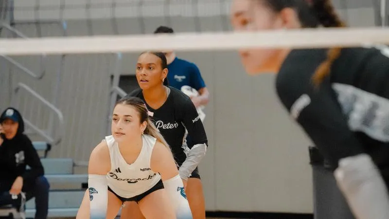Peacocks Look to Continue Win Streak as They Face NJIT