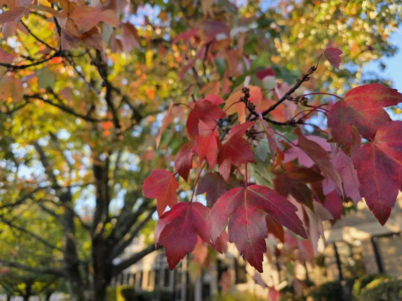 NJ weather: Warm Thursday, sun Friday, weekend clouds then rain
