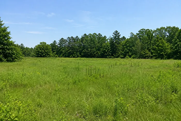 Ocean County Adds Nearly 90 Acres To Preserved Land