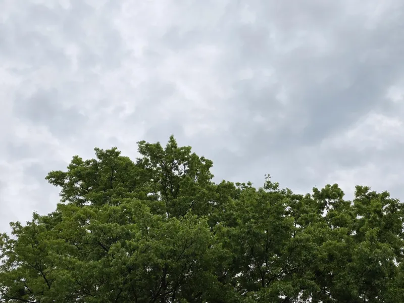 Is your event canceled? Isaias rain disrupts plans in NJ