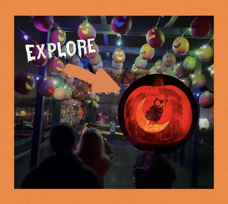 Check Out The Fall Festival at Argos Farm in Forked River, NJ