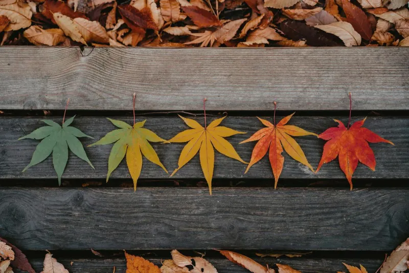 Is fall New Jersey's favorite season?