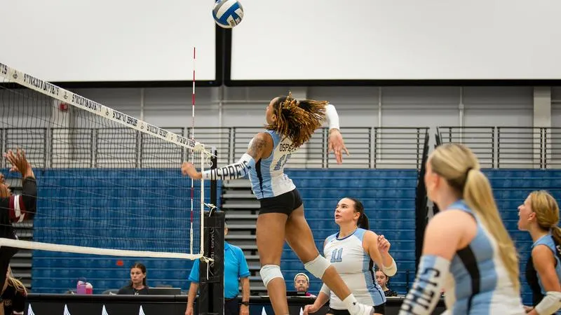Stockton Falls to Rowan
