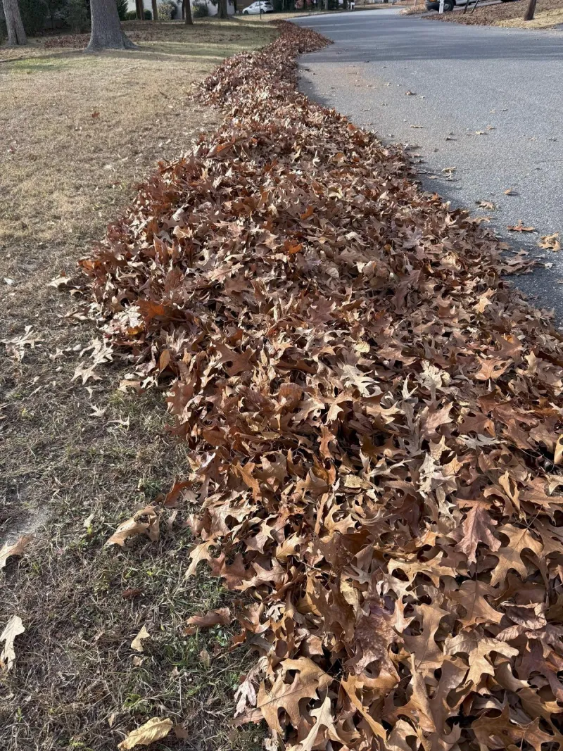Raking Leaves This Fall? Here's How to Stay Safe & Out of the ER