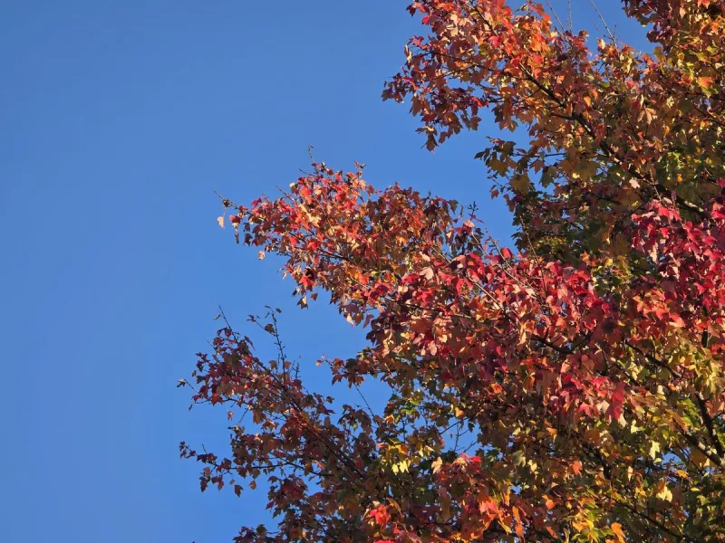 NJ weather: Near-record warmth to showers to a blustery weekend