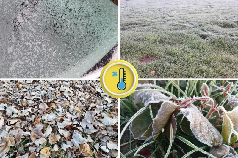 Here's when to expect NJ's first frost of the 2026-27 season