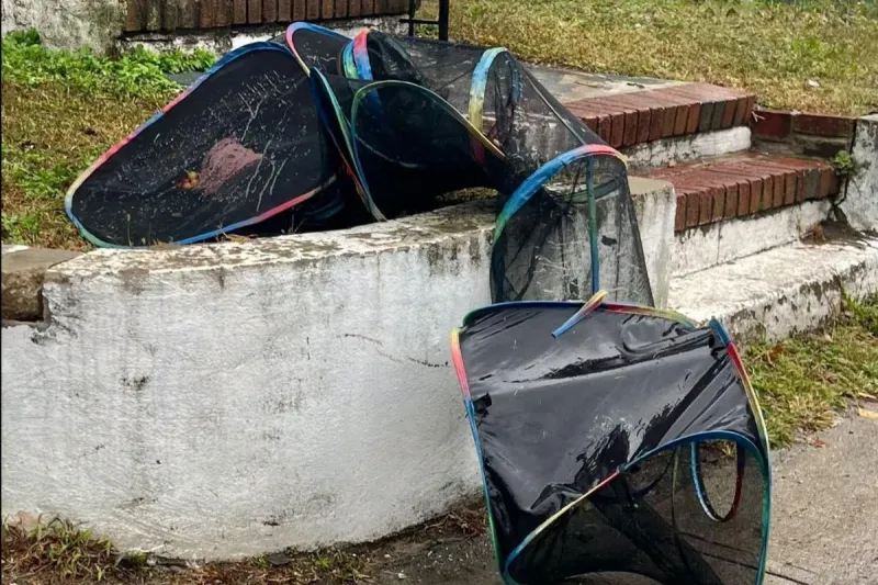 Asbury Park cats abandoned in a mesh tunnel in pouring rain