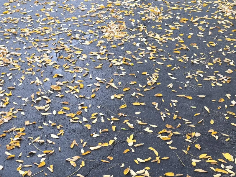 NJ weather: Strong storms Friday lead to blustery, colder weekend