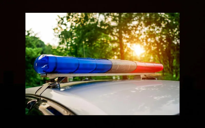 Man Has Ear Bitten Off In Point Pleasant Beach