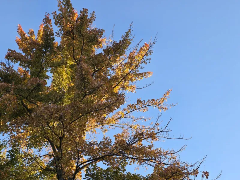 NJ weather: Mainly dry with lots of sun, Coastal Flood Advisory