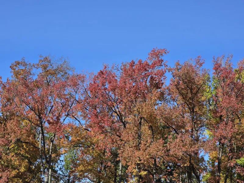 NJ weather: Coastal storm 300 miles off-shore, turning breezy