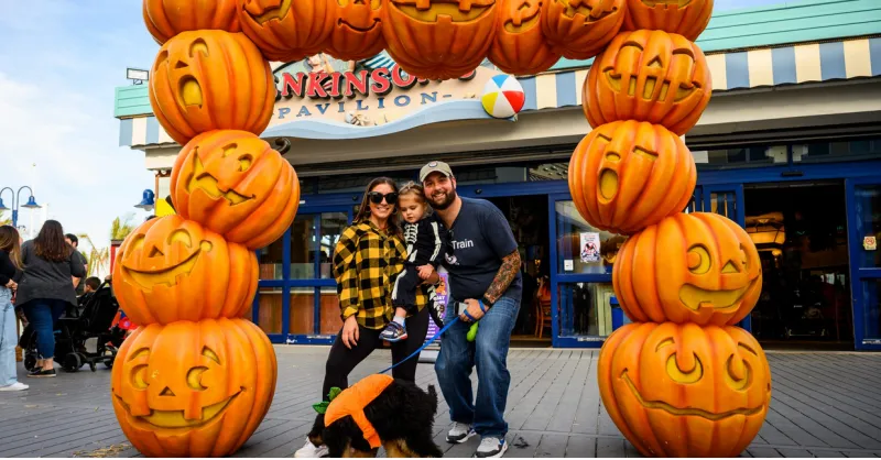 NJIB's Guide to 30+ New Jersey Events October 23rd -- 25, 2026