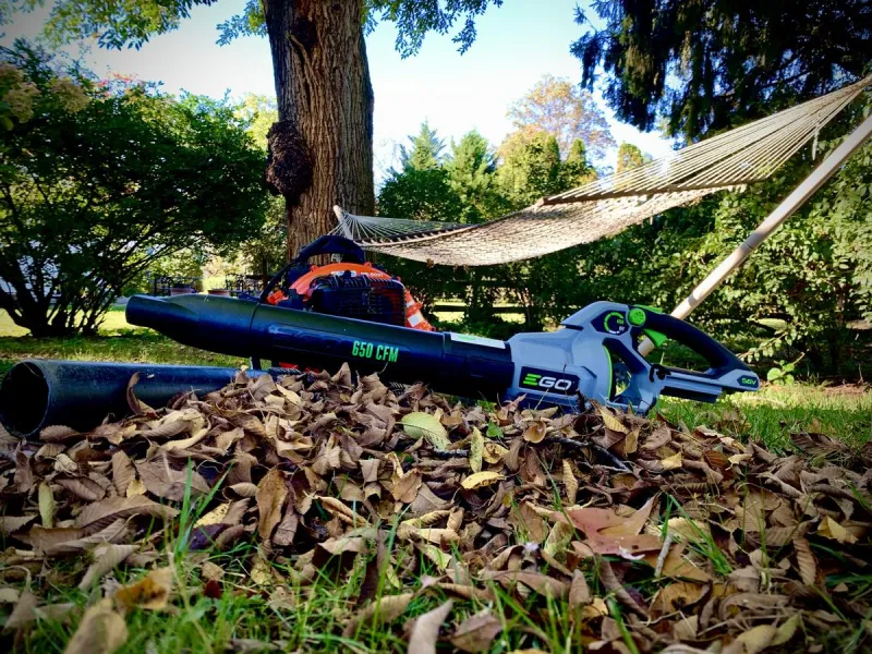 Your neighbor's leaves blow into your NJ yard. Whose problem is it?