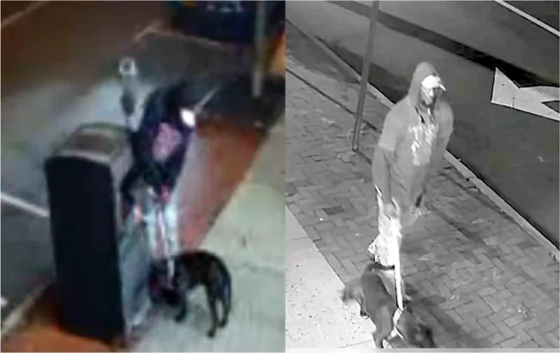 Montclair Police Seek Leads After Dog Abandoned