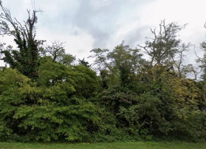 Two People Walking in Woods in Middle Township Discover Human Remains