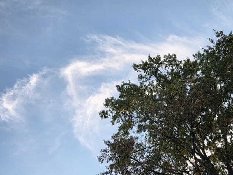 NJ weather: Some clouds, a stiff breeze, and minor tidal flooding