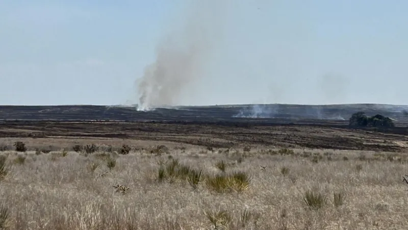 Winds drive New Mexico's Line Fire rapidly across rugged terrain near Nara Visa
