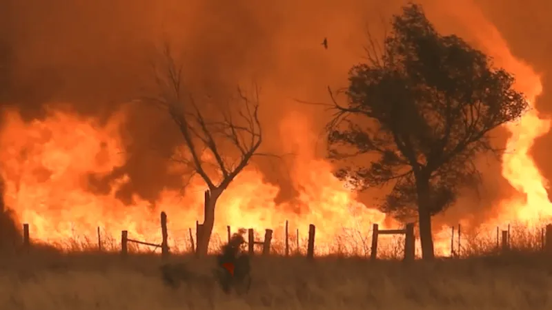 Hunggate Fire burns more than 14,000 acres in Randall County
