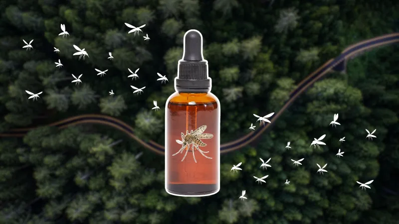 New Study Finds That an Essential Oil Can Effectively Ward Off Mosquitoes. Here's What to Know.