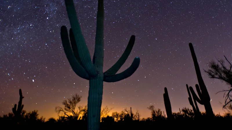 Arizona's Organ Pipe Cactus National Monument Earns Dark Sky Status