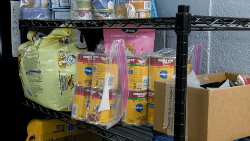 Amarillo Animal Management launches pet pantry to help owners with basic supplies