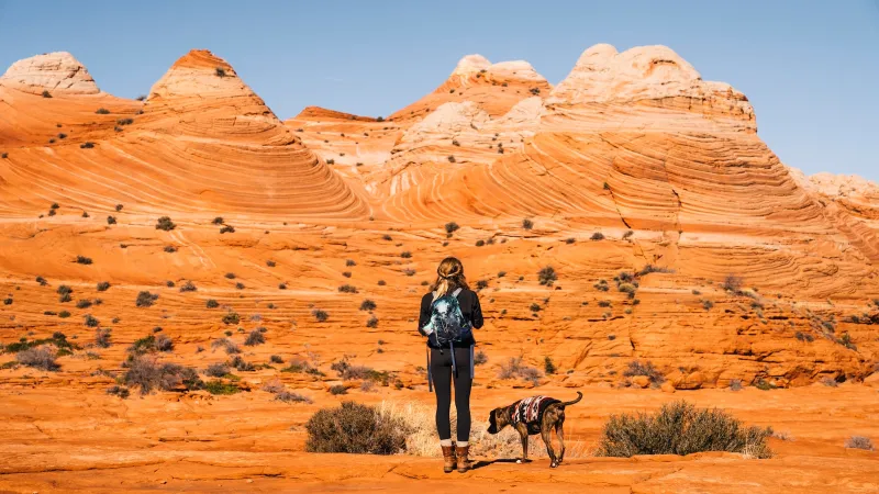 How Did Your Lawmakers Vote on Public Lands? This New Map Tracks Every Member of Congress.