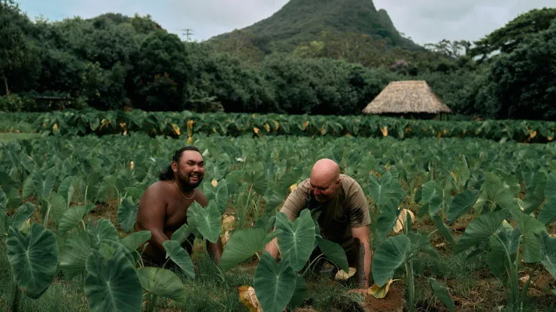 Communities Are Leading the Way Restoring Hawaiian Foodways-and They're Succeeding