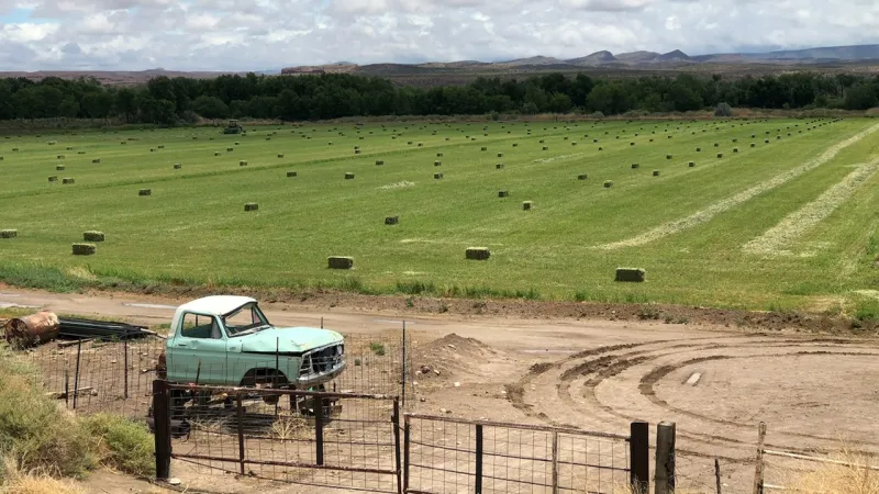 UNM researchers examine agricultural water use in New Mexico's Middle Rio Grande Basin