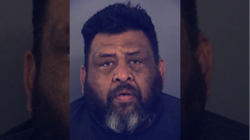 Man arrested after deputies find malnourished pit bull in San Elizario