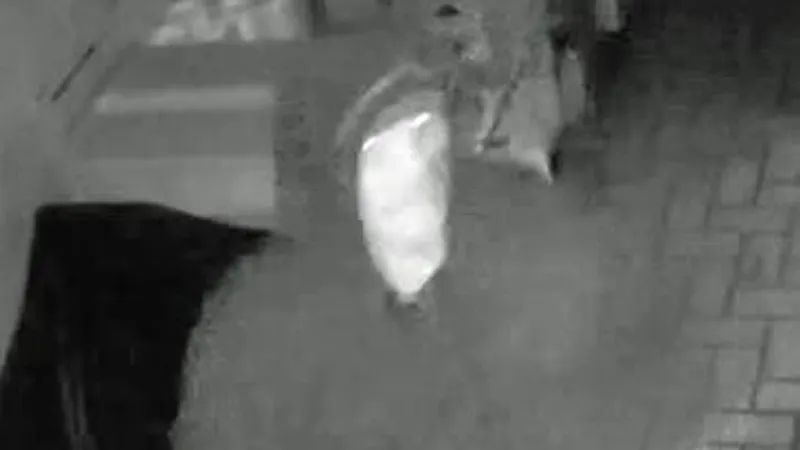 Amarillo Crime Stoppers offers $1,000 reward for tips on Toot 'N Totum burglary attempt