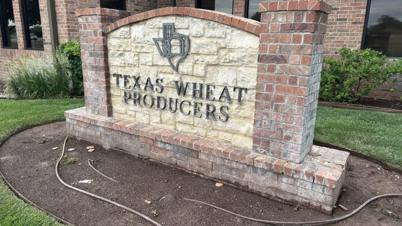 Texas Wheat Producers to invest $400,000 in 16 High Plains winter wheat research projects