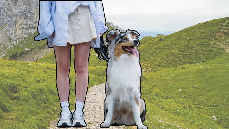 When in Doubt, Bark It Out: Why I Feel Safer With My Reactive Dog
