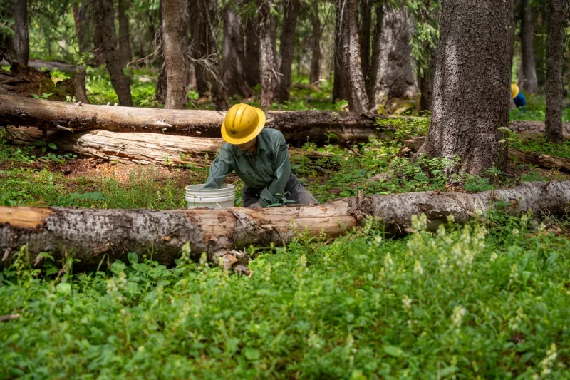 Colorado Crews Are Cleaning Up an "Abundance of Human Shit" at One of the State's Most Popular Trails