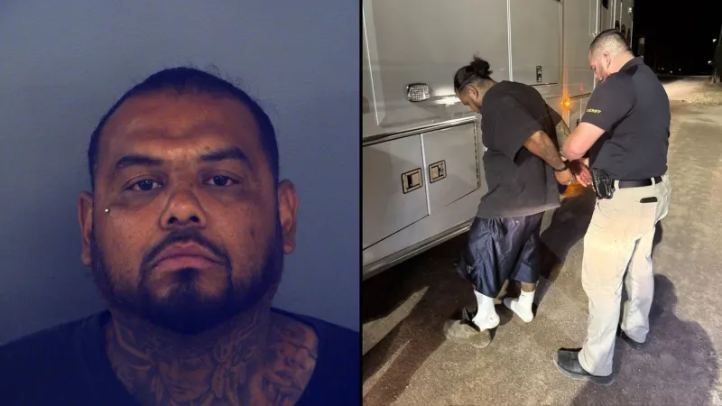 El Paso man arrested after 35 animals rescued from neglected home