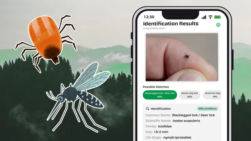 The Tick-Borne Disease Boom Is Feeding an Epidemic of Misinformation. Here's What Experts Want You to Know.