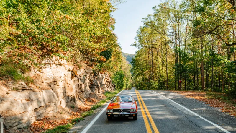 Road Tripping West Virginia's Cranberry Corridor