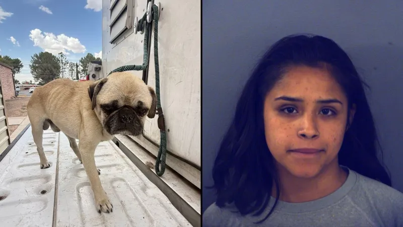 'Pass away already' Fabens woman arrested for animal cruelty; was waiting for dog to die