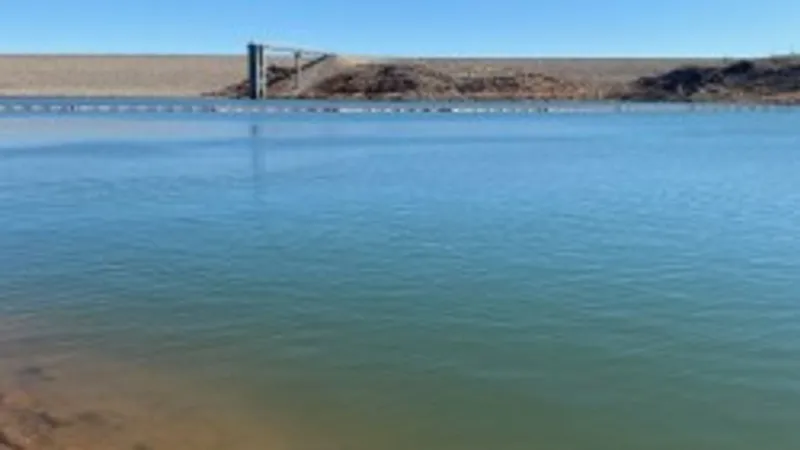 Lake Meredith 'infested' with invasive mussels posing threat to ecosystem and visitors