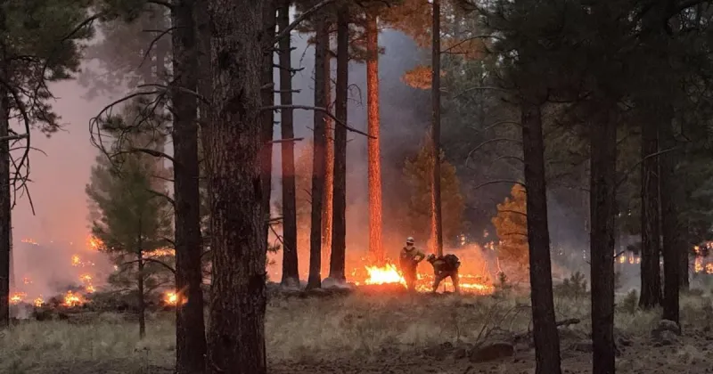 Fire ban, isolated closure planned for Santa Fe National Forest